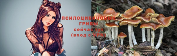 ALPHA PVP Алзамай