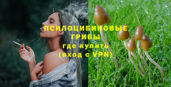 ALPHA PVP Алзамай