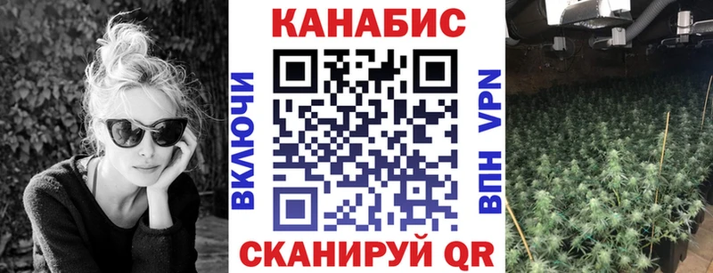 Каннабис тримм  MEGA tor  Кувшиново  хочу наркоту 
